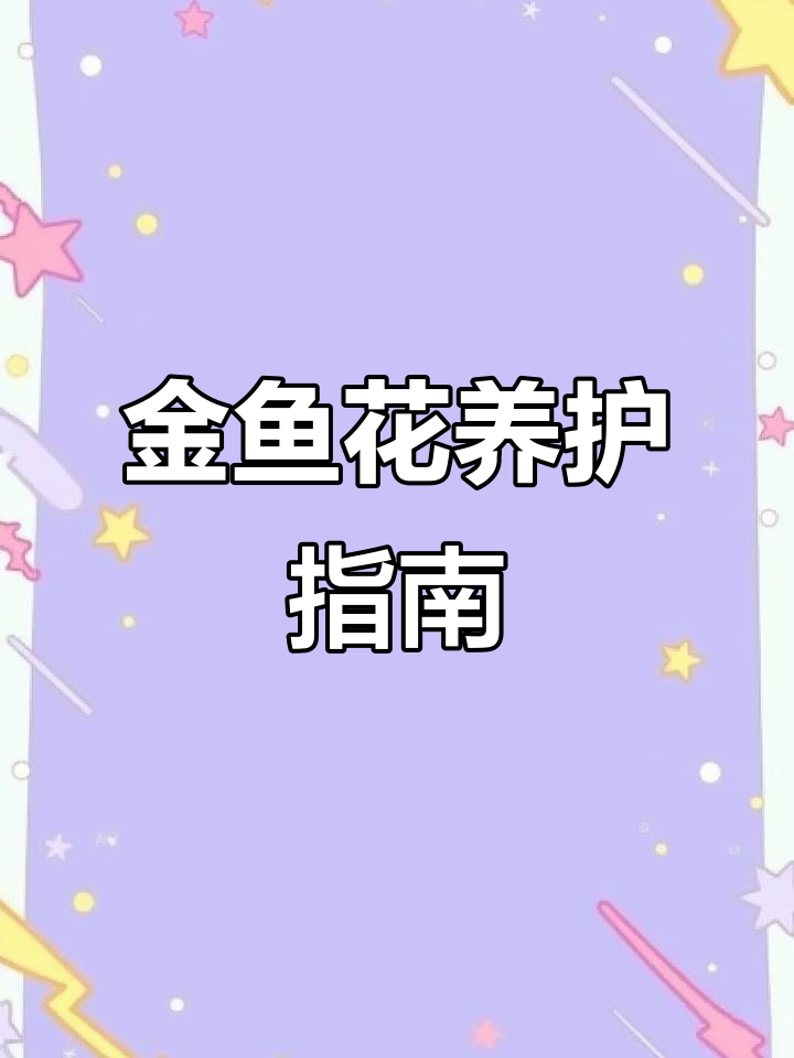 金鱼吊兰:清新空气,寓意深刻,养一盆好运连连