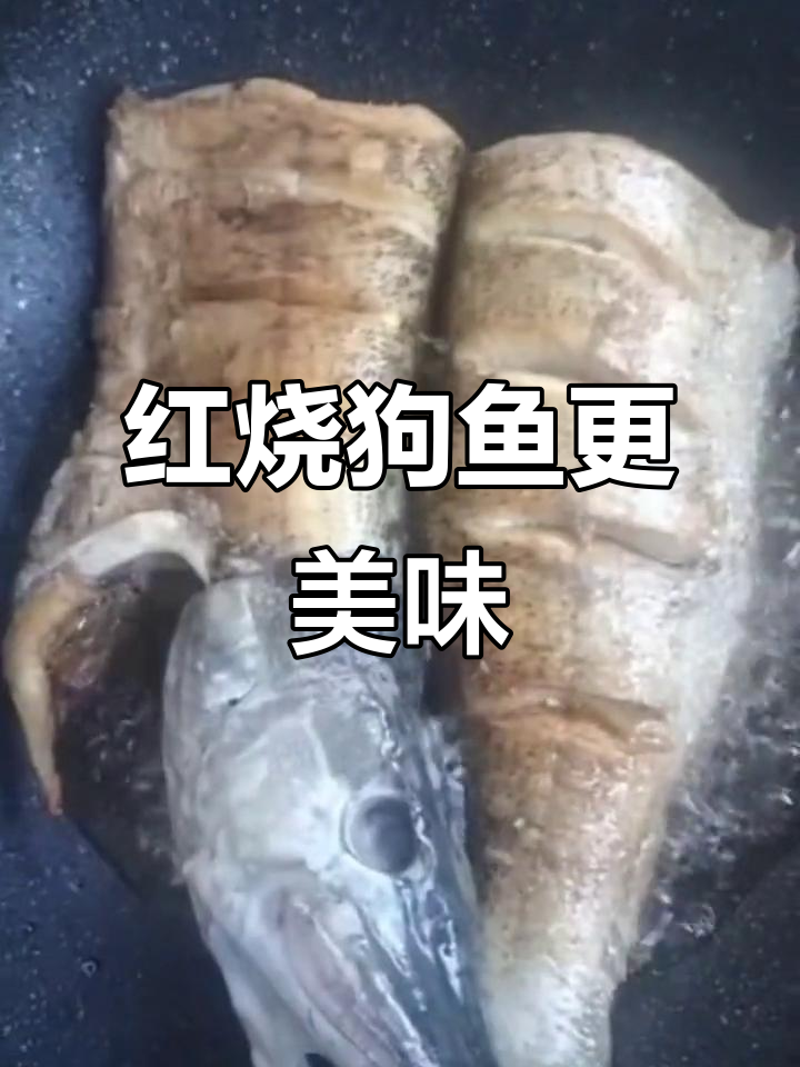 狗鱼别再清蒸了,试试红烧做法,味道超赞!