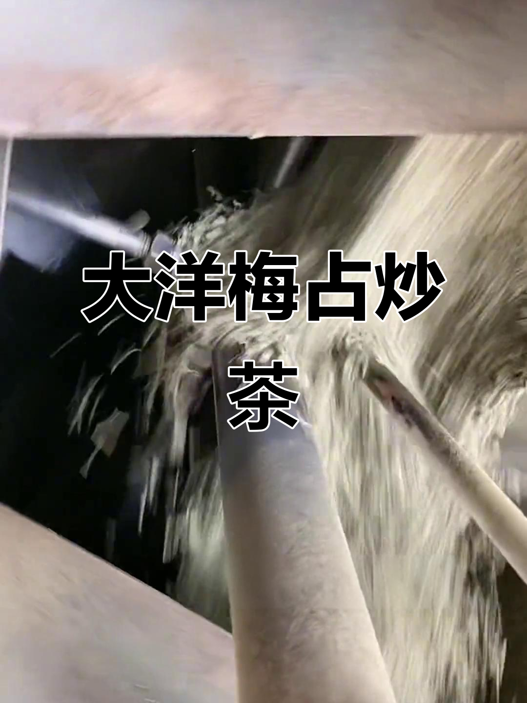 必胜福头春大洋梅占炒茶,山韵花香回甘持久
