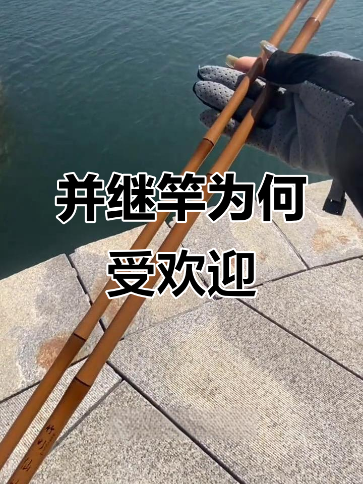 为什么并继竿是钓鱼入门首选?揭秘其独特魅力与优势