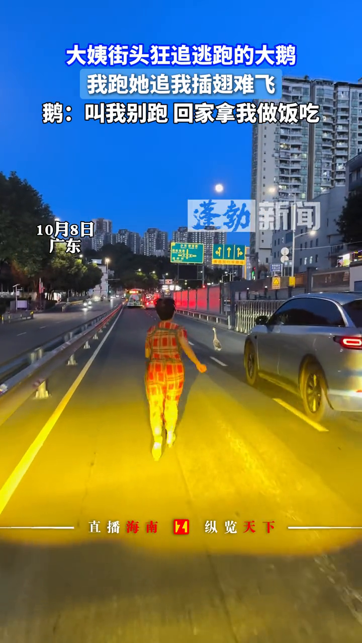 大姨街头狂追逃跑的大鹅,鹅:叫我别跑 回家拿我做饭吃