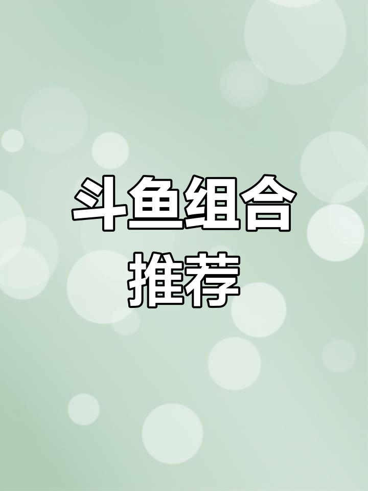 斗鱼组合大揭秘!母鱼搭配与鱼缸选择全攻略