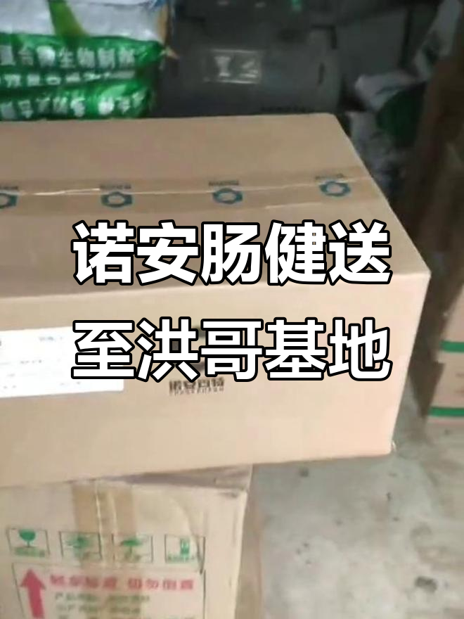 诺安肠健助力斑节对虾养殖,洪哥基地迎来新突破