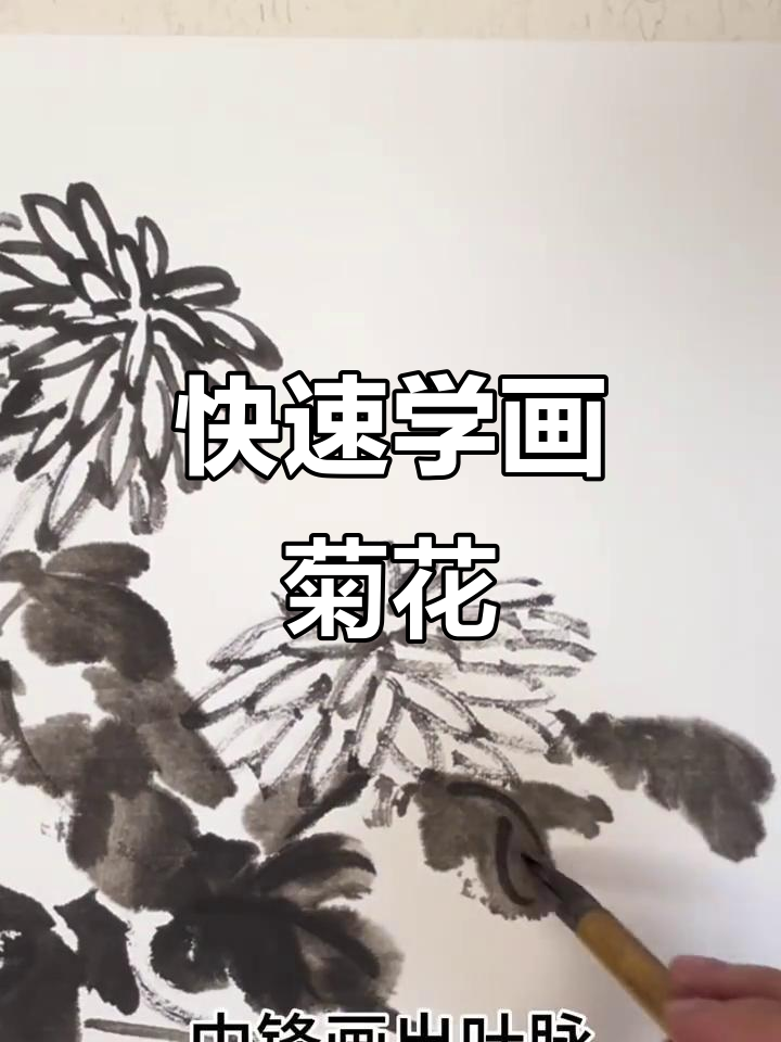 一分钟学会画可爱菊花,简单又好玩