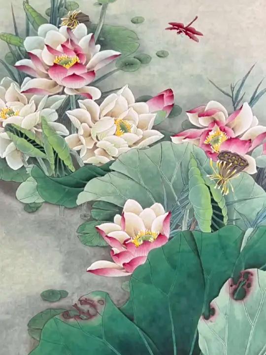 工笔荷花 工笔荷花