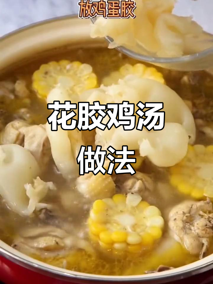 鸡蛋胶与小米胶的深海美味,滋补孕妇必备花胶鸡