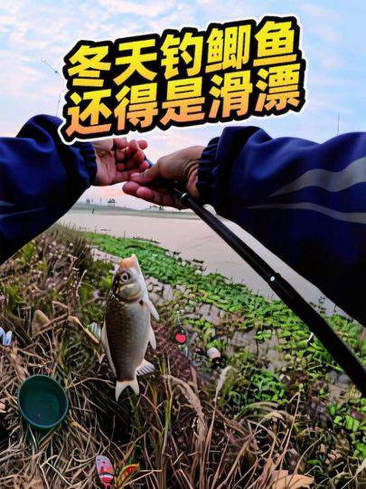 冬天钓鲫鱼还得是滑漂，效果超棒！