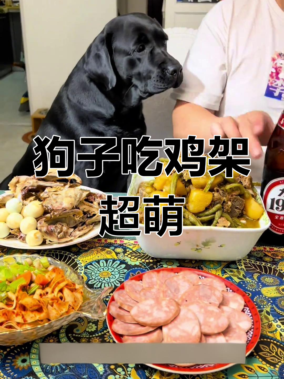 沈阳狗大吃鸡架,表情管理满分!