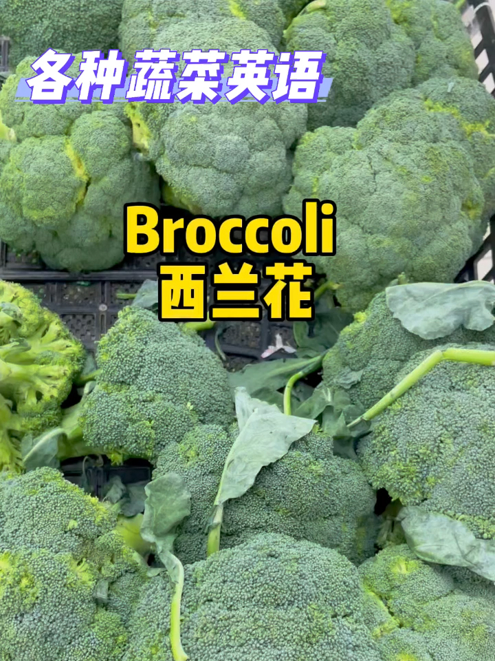 各种蔬菜英语怎么说