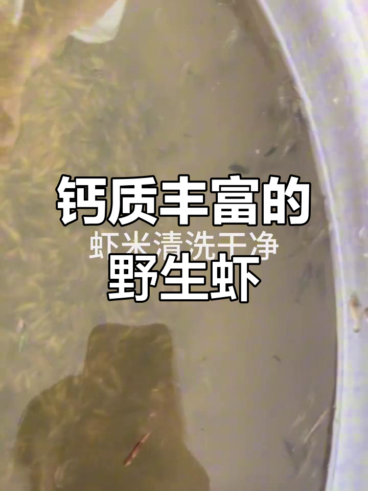 野生虾米:补钙效果超乎想象