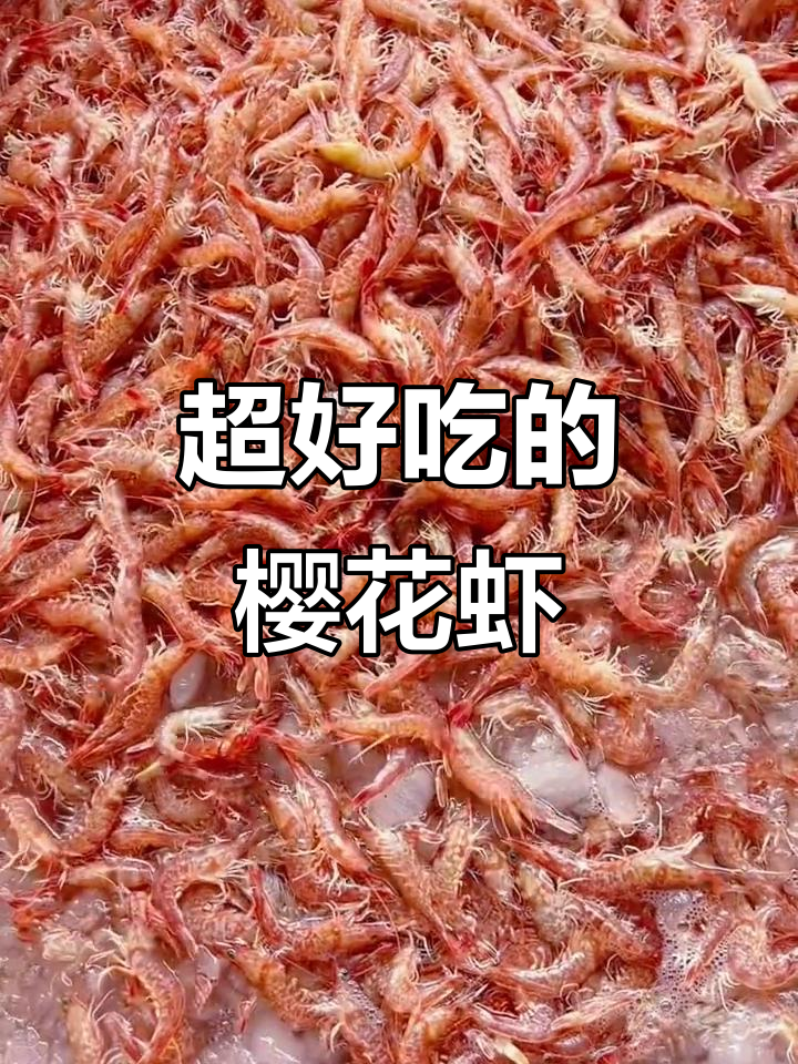 台湾海峡的樱花虾,肉质鲜美让人停不下来!