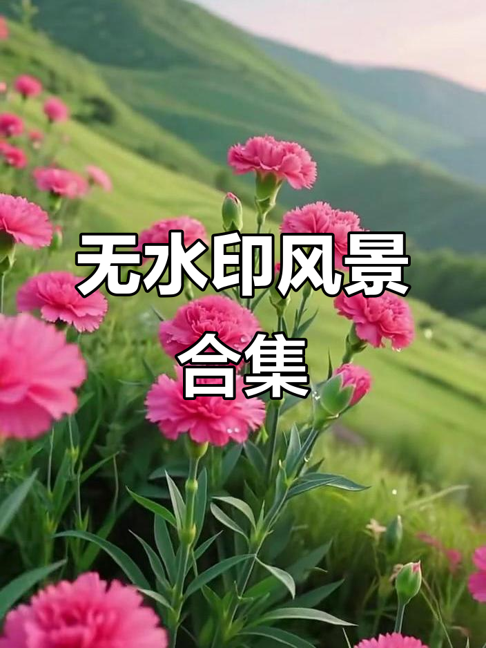 无水印风景素材，尽享自然之美