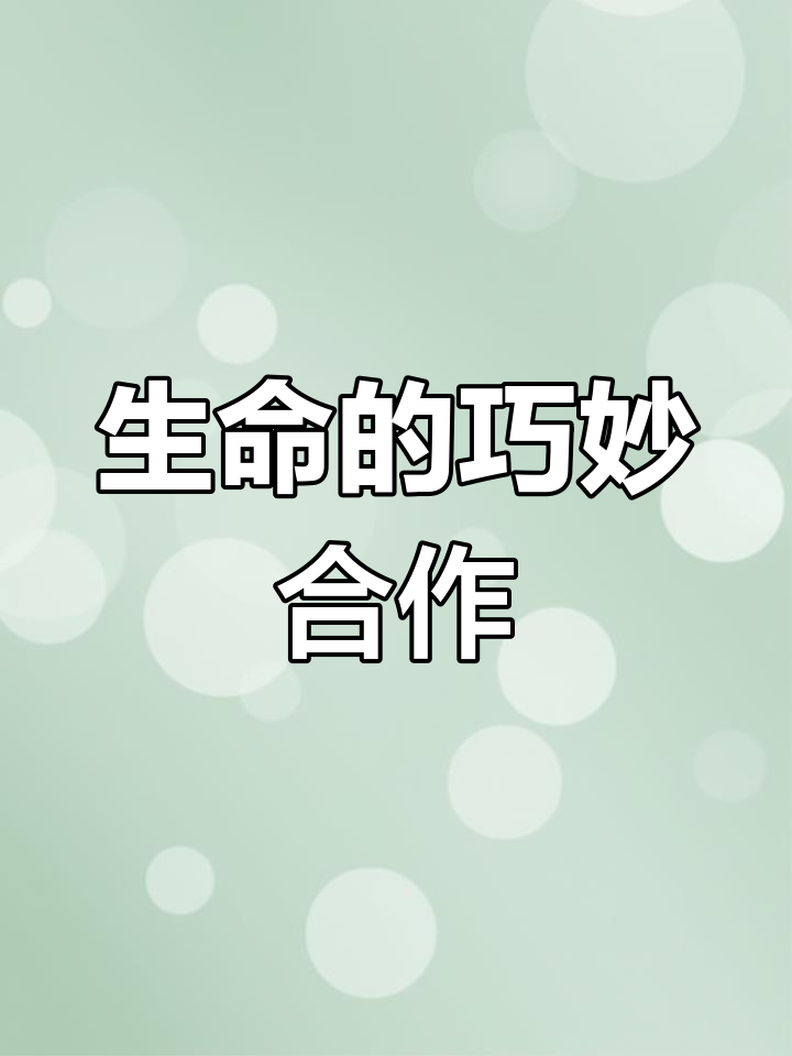 生命中的相互依赖,鳑鲏与河蚌的奇妙繁殖方式