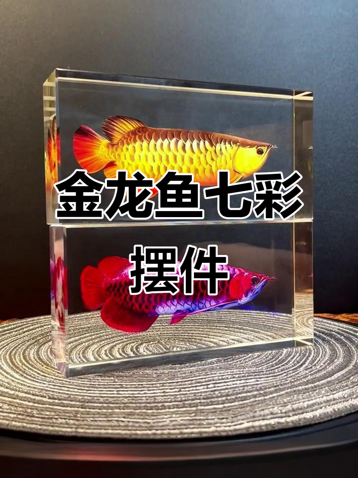 富贵金龙鱼摆件,七彩灯光调节家居氛围