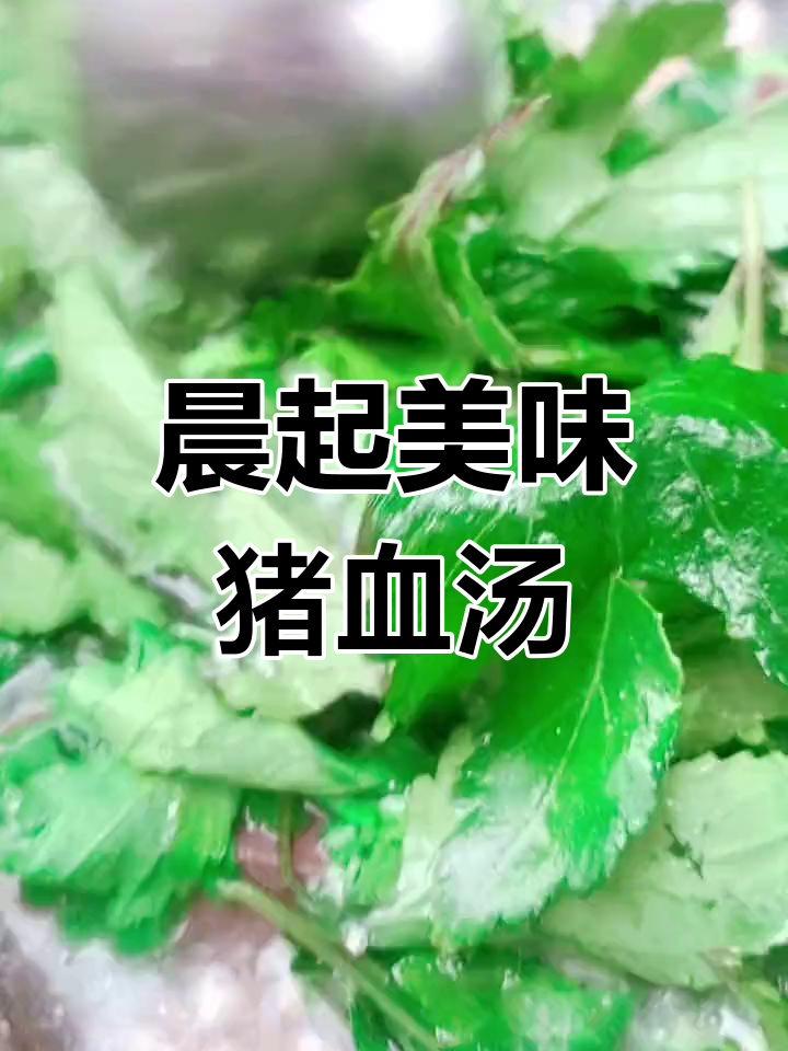 潮汕猪血汤,鲜美清爽,早晨一碗让人精神焕发!