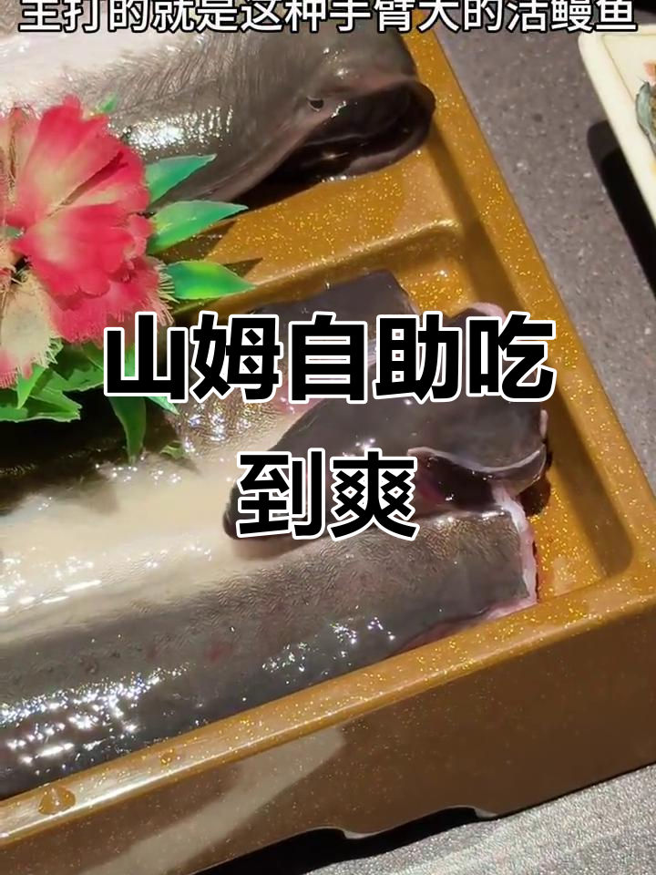 深圳山姆自助大快朵颐,网红蛋糕、海鲜烤肉统统有