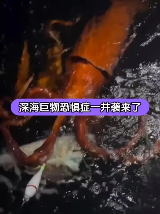 海钓四百多斤大鱿鱼给我深海巨物恐惧症吓出来了