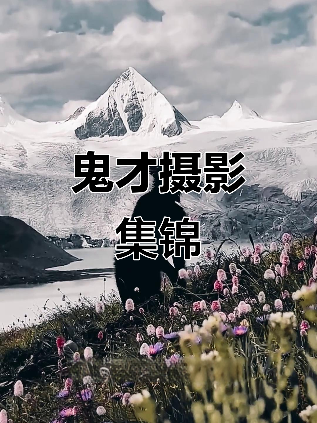 新年摄影大赏:这些作品让你怀疑科学边界