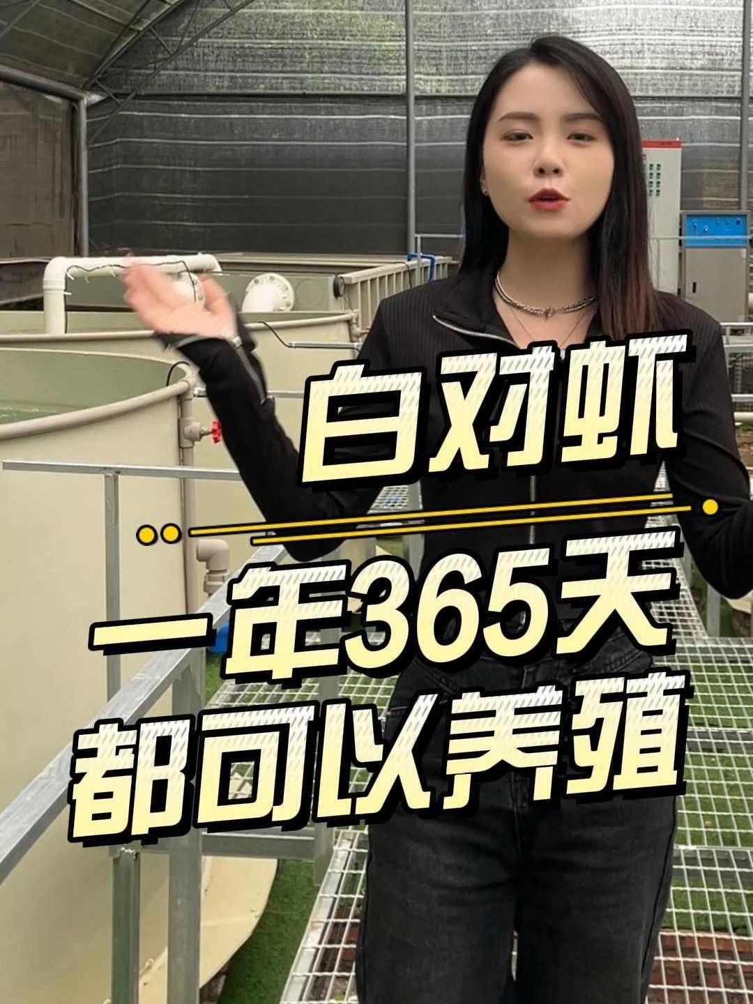 工厂化养殖南美白对虾,一年365天都可以