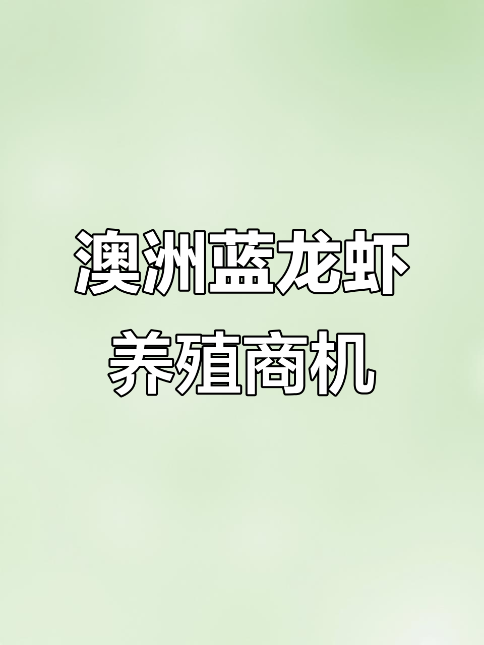 澳洲淡水蓝龙虾养殖:创业新机会,了解行业前景