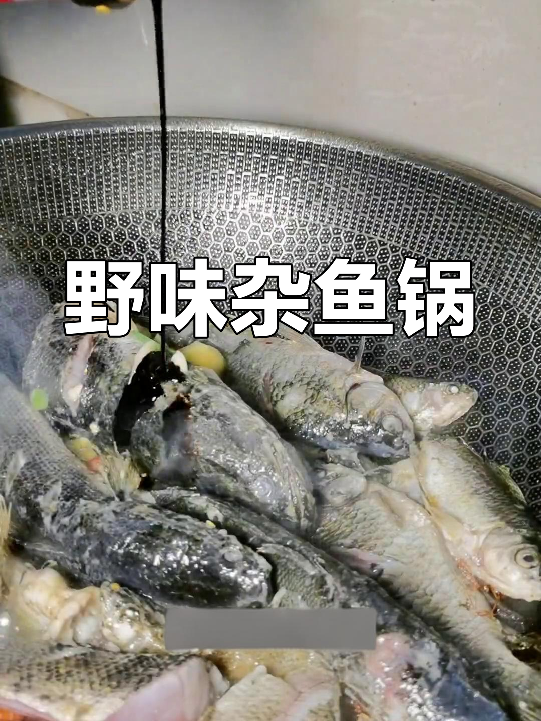 意外捕获野生杂鱼,做锅子香气扑鼻,味道绝佳!