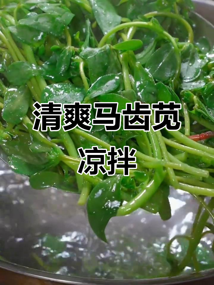 马齿苋凉拌菜,简单又美味,清热解毒降血糖
