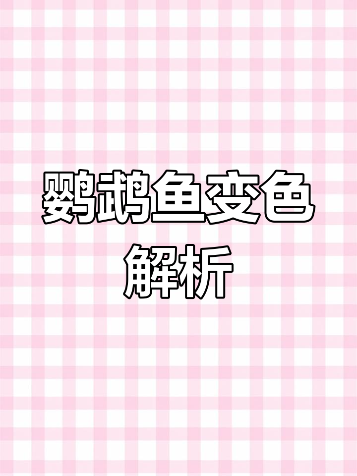 鹦鹉鱼变白?教你轻松应对!