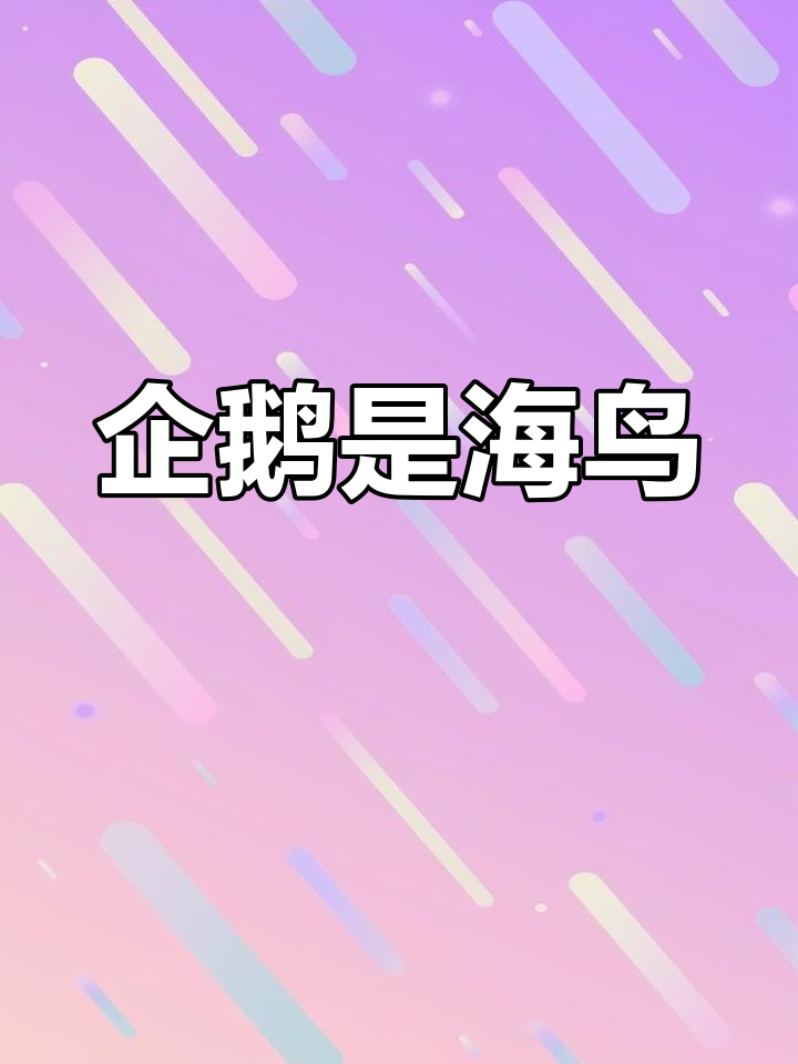 企鹅不是鹅,揭秘海鸟的独特飞行与游泳技巧