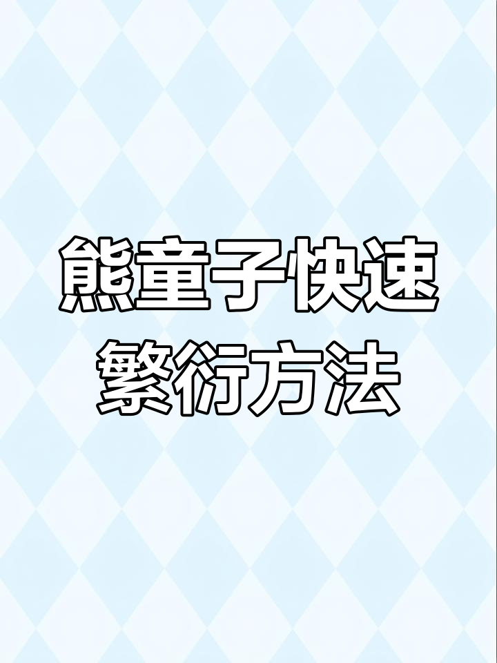 熊童子多肉植物繁殖技巧,轻松发芽成活率高