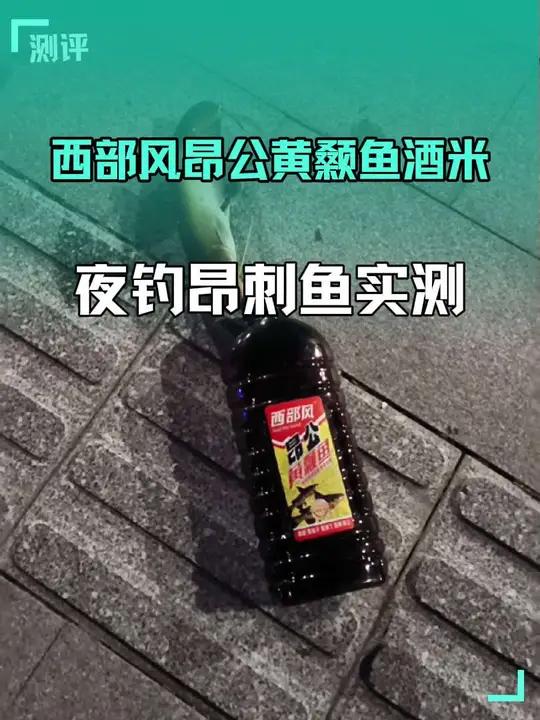 夜晚实测西部风昂公黄颡鱼酒米,夜钓昂刺鱼效果如何?上手简单效果不错,以后再也不需要用猪肝打