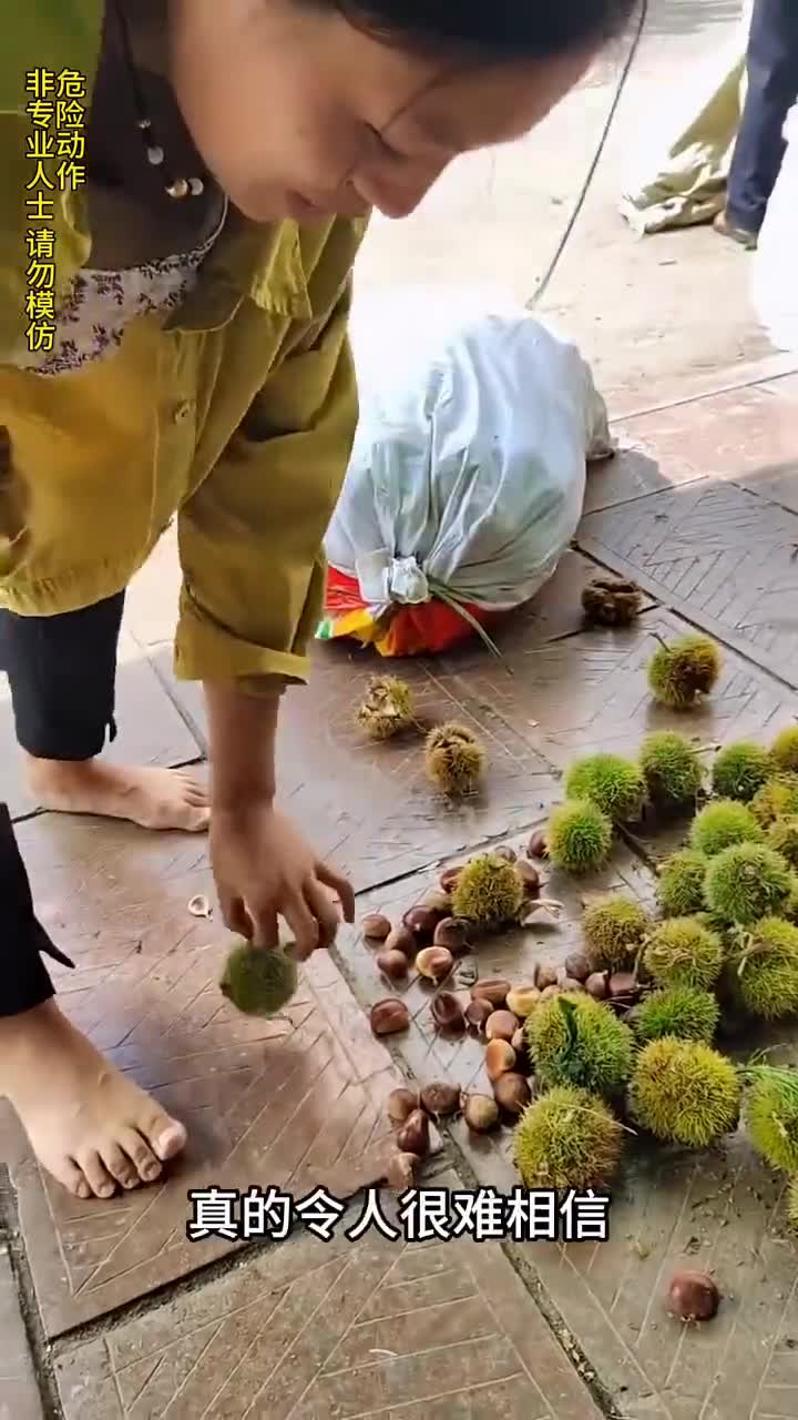 这用脚踩板栗,难道不扎脚吗?
