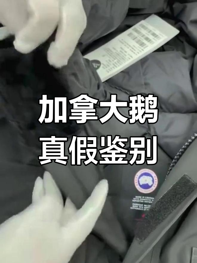 如何辨别加拿大鹅羽绒服的真伪?