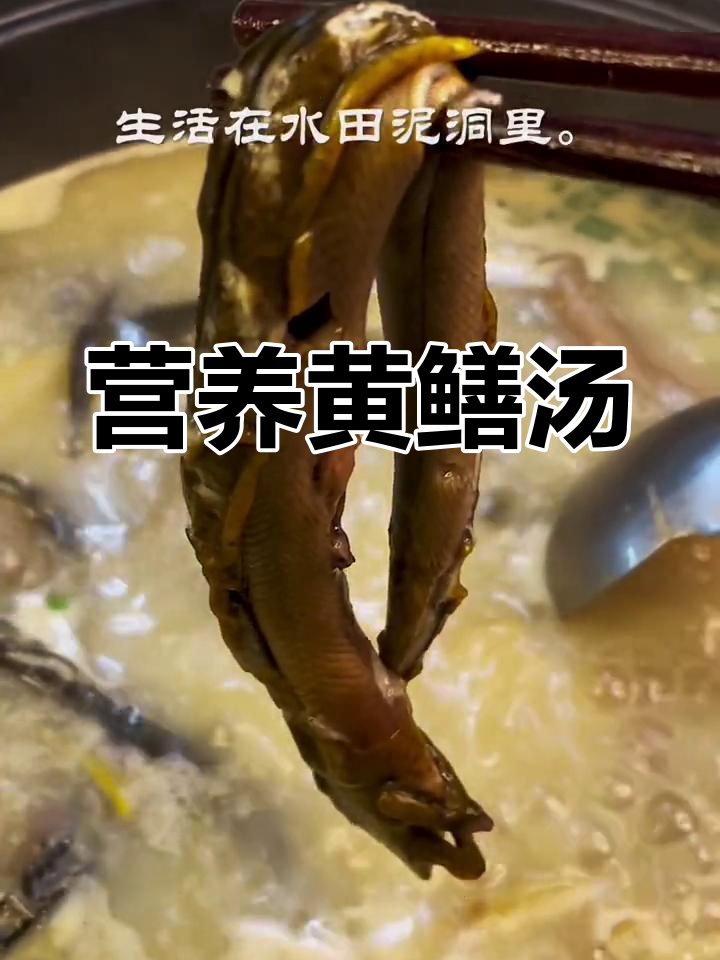 黄鳝汤:滋补美味,做法简单