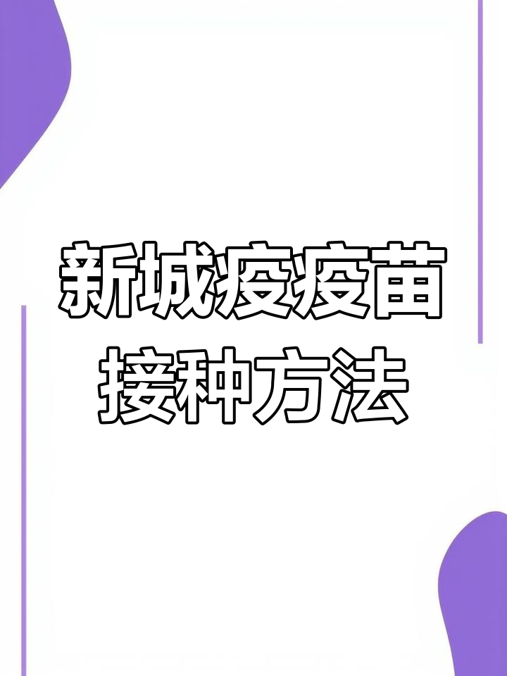 鸡新城疫免疫程序解析
