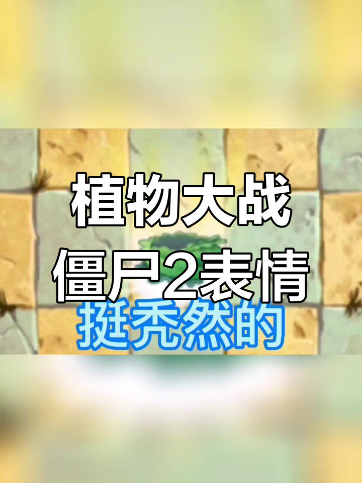 卷心菜投手表情包大赏，快来收藏！