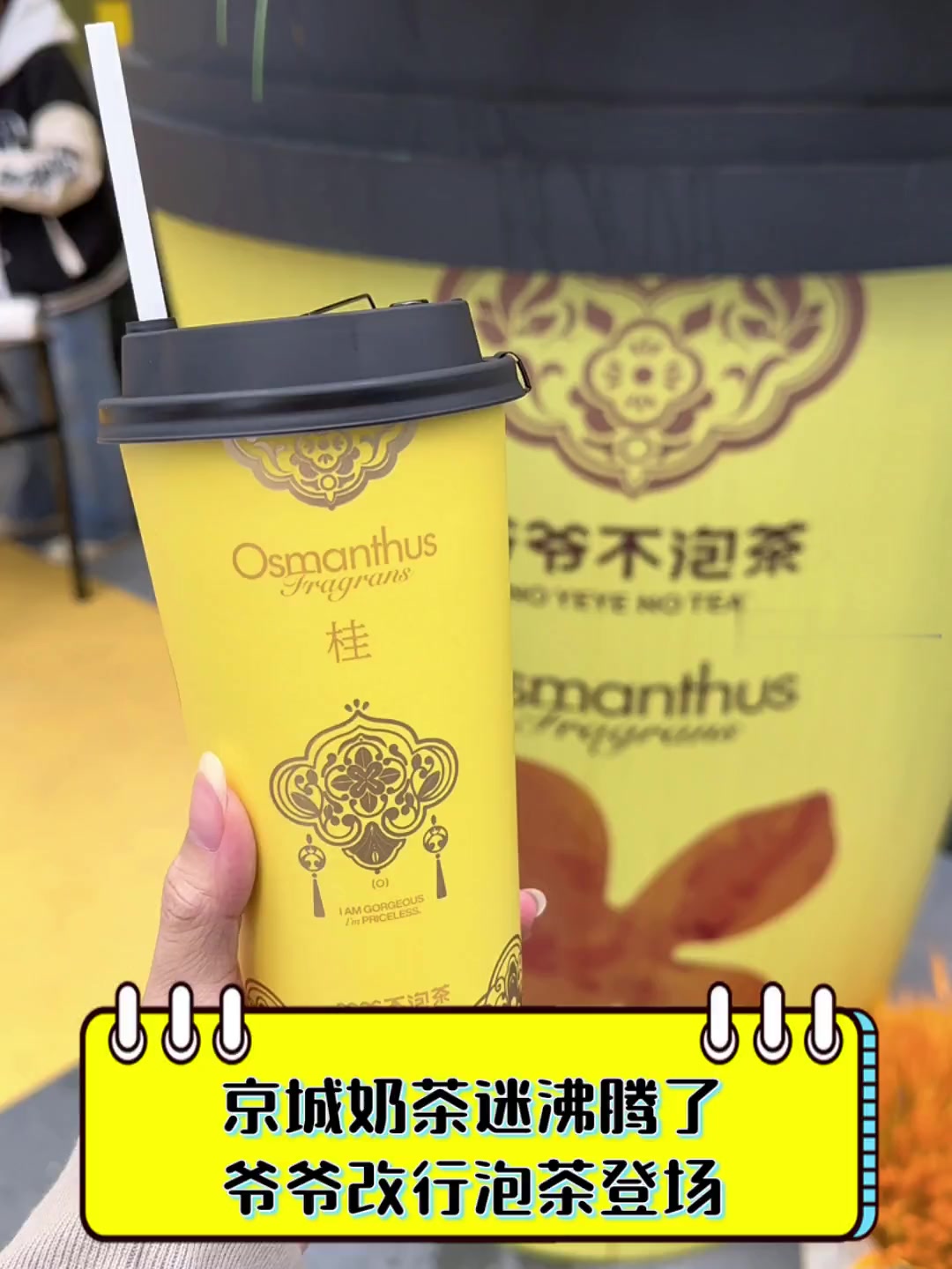 京城奶茶迷沸腾了,爷爷改行泡茶登场