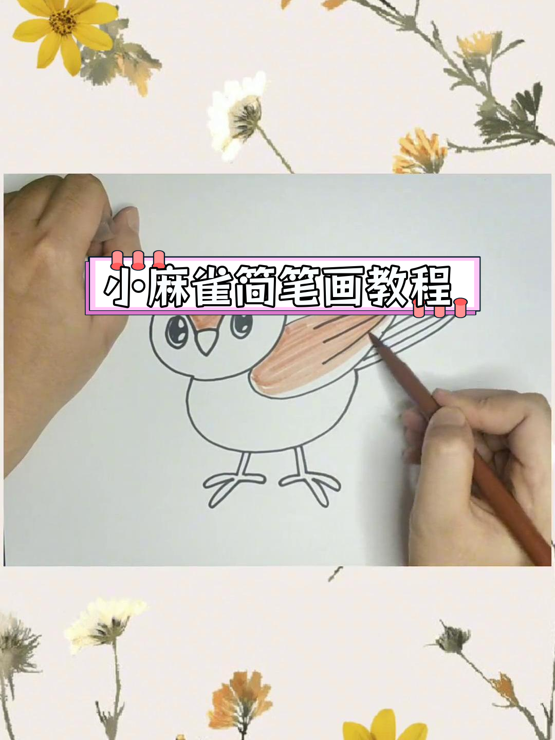 简单步骤画出小麻雀