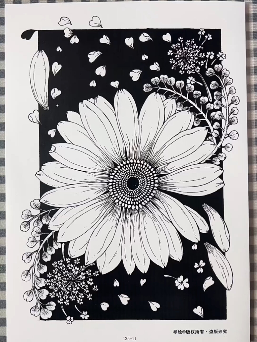 高级感满满的黑白线描画