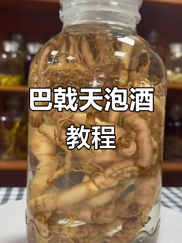 巴戟天泡酒,轻松上手!赶紧试试吧!