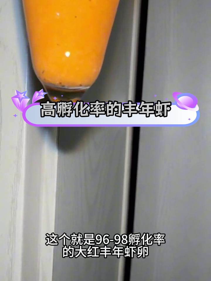 0.5克丰年虾大红卵孵化率高达96%