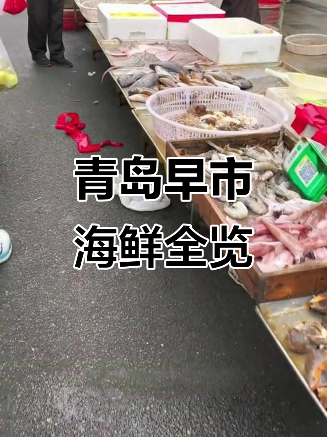 青岛早市海鲜大赏,白虾、琵琶虾、梭子蟹样样有