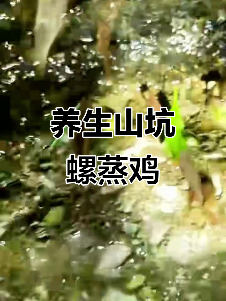 山坑螺与地胆头蒸鸡，鲜美滋补，汤浓肉嫩，健康又美味！