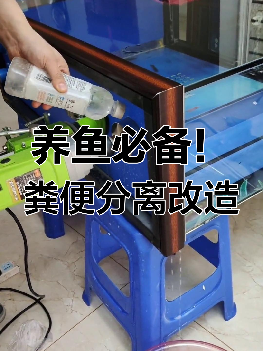 鱼缸改装大揭秘:如何升级粪便分离系统,打造更强大的过滤效果