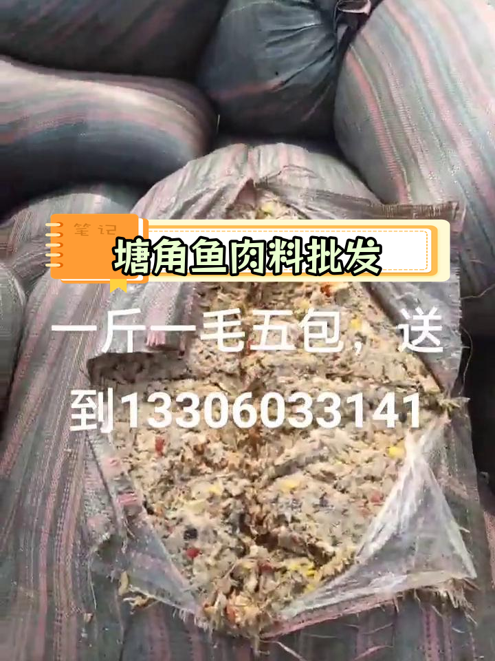 埃及塘角鱼大小鱼肉批发,品质保障