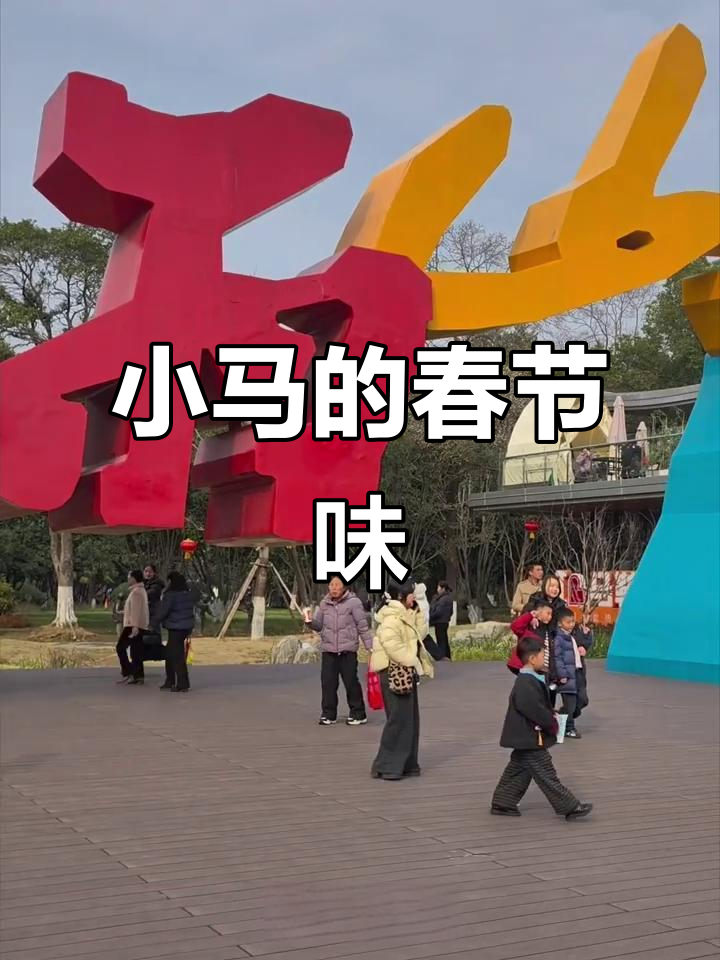 安徽小马过大年,卡旺卡与大肉面带来的春节味道