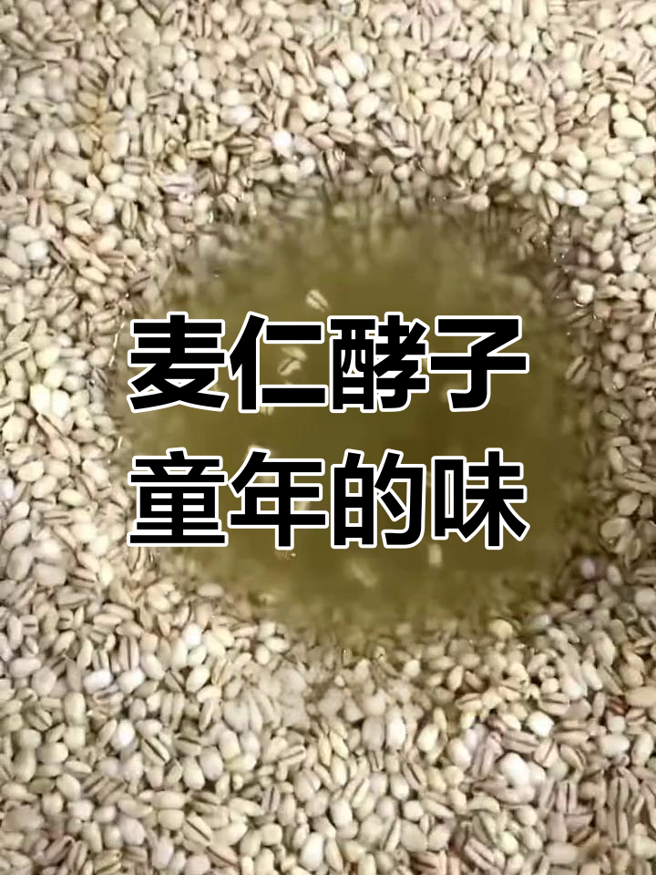 安徽阜阳传统麦仁酵子,童年味道的回忆