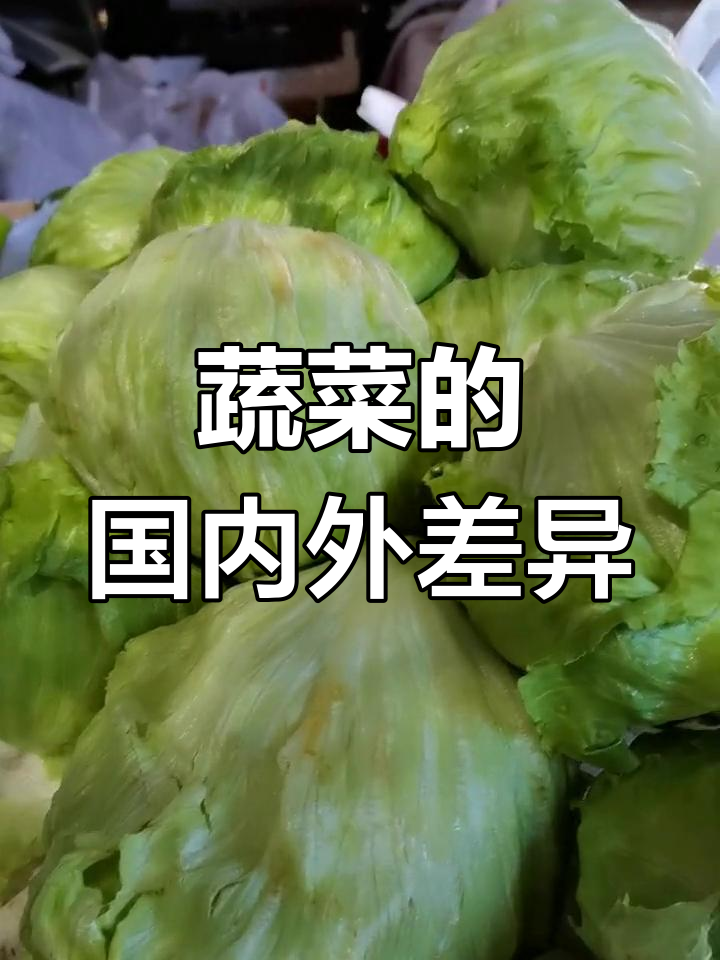 国内蔬菜既实惠又新鲜,在国外可是稀罕货