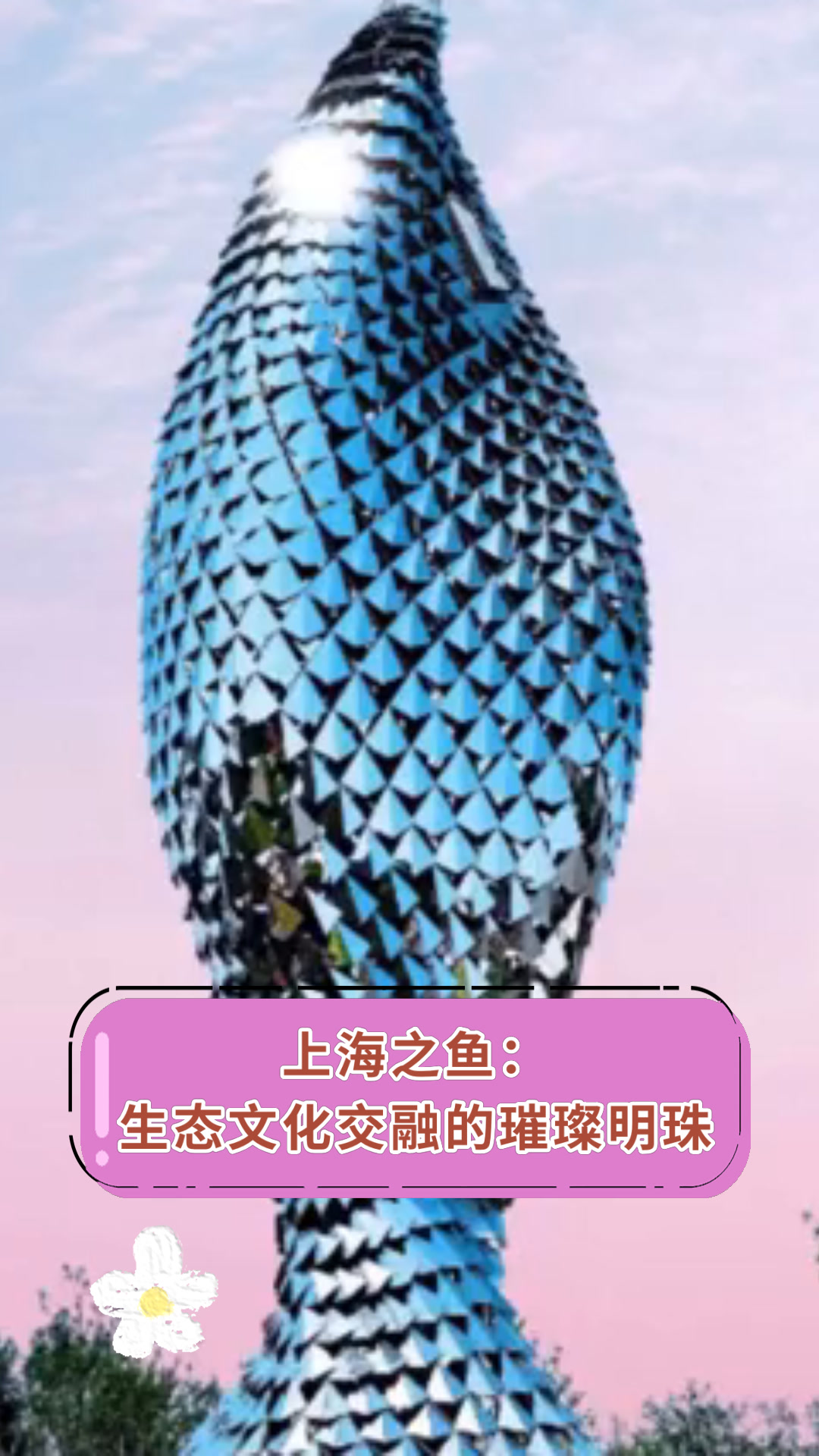 上海之鱼:生态文化交融的璀璨明珠