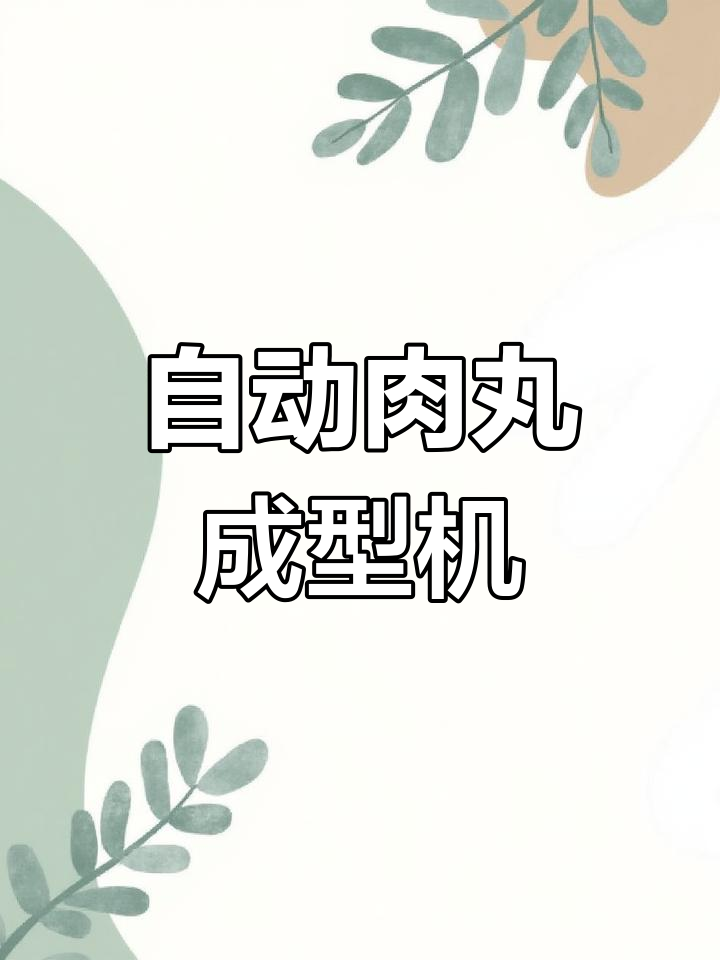 全自动肉丸机,高效生产多种口味
