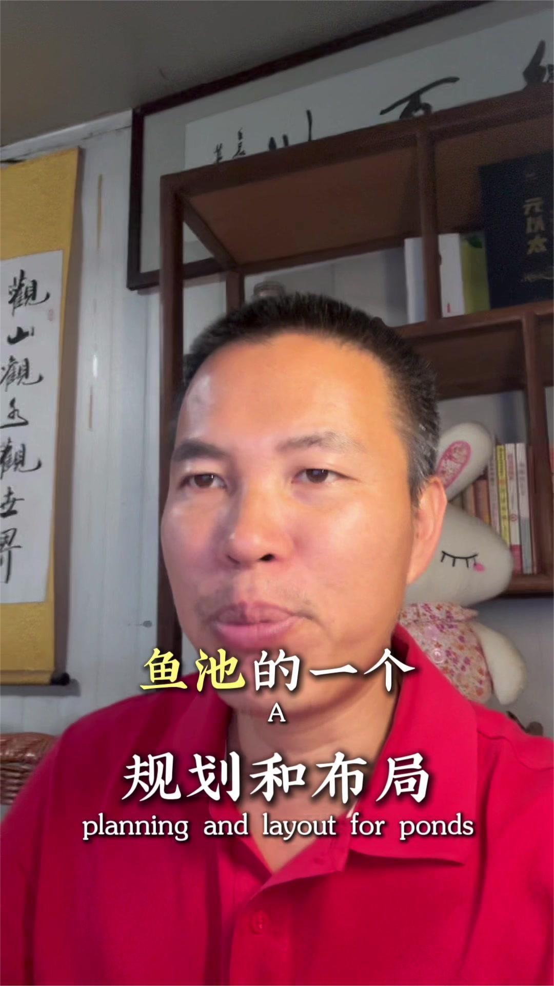 别墅庭院鱼池、流水假山、泰山石假山 很难打理么?#中山鱼池清洗